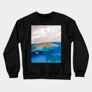 Lemon Shark at the Surface Crewneck Sweatshirt